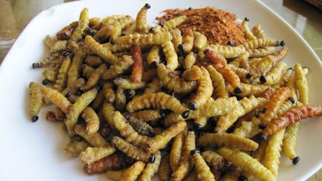 Kuliner Ulat Jati